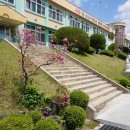 내대초등학교 이미지