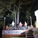 숲속이야기 이미지