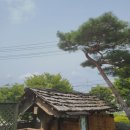 영월현대서비스 | [강원도 2박3일] 정선·평창·영월 아이와 함께! '왕사남' 촬영지부터 첫 옥수수 먹방까지