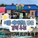 홍성읍 내기마을회관 | [용인] 여름 에버랜드 방문 후기 (루이후이 촌캉스&amp;워터페스티벌+물총 추천, 준비물)
