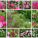 안덕농장 이미지