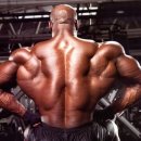 워너바디 이미지