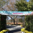 백제금속(주) | 부여 가볼만한곳 백제고도 국화축제 일정 방문후기