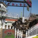 환산부화장 이미지