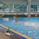 어게인1984 이미지