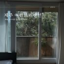 펜션보타닉 | 제주 애월 숙소 오션뷰 어반트리펜션 보타닉룸 후기