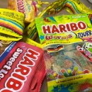 러브24편의점 | 얼먹 젤리 추천 | 인기 많은 top3 젤리 후기✨ | 편의점 젤리 추천 | 망했을 때 대처법