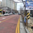 김해 강아지분양 두부네 하루 이미지