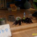 장씨농장 이미지