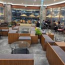 안양 우편집중국 앞 | 범계 벚꽃카페 포토스팟 버터비버 실시간 개화