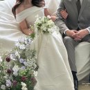 나무늘보,요정 | W12# 센스만점 플라워 디렉팅 꽃우화 스촬 후기(제이웨딩 페이백 6만원)