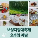 다향 | 보성 다향대축제 &lt;오후의 차밭&gt; 후기 / 보성녹차와 다식을 코스로~