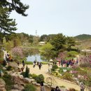 상인초등학교 이미지