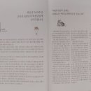 개풍인삼