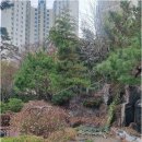 판교봇들공인중개사사무소 | 판교 부동산, 봇들7단지부터 중개 서비스까지 모두 알아보기