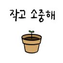 호야의정원