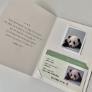 판다월드샵 🐼 판다월드 기프트샵 &amp; 기념품샵 푸바오 기념품 가격 종류 정보 🧾 + 사파리월드 기념품샵