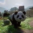 판다 PC 이미지