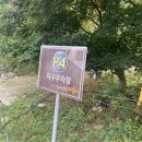 [포천 가볼만한 곳 1탄] 모노레일도 좋지만 걸어가며 천천히 즐기는 경치, &lt;포천 아트밸리&gt;