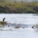 태화십리대숲먹거리단지 이미지