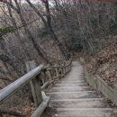 숲 바다 이미지