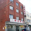 매화반점 이미지