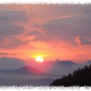 성심농원 이미지