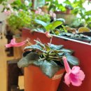 노르웨이세탁 이미지