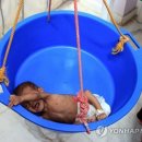 평화물류(주) 이미지