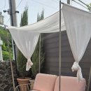 스테이시루 이미지