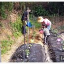 진동도서관 이미지