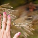 빛고운네일 이미지