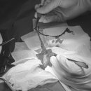 24시하나린동물의료센터 이미지