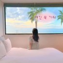 부띠끄풀빌라나미브 | 제주 서쪽 애월 뚜벅이 숙소 부띠끄풀빌라 나미브