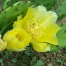 정우농원 이미지