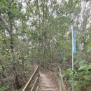 여강길(5코스 황학산길) | [여강길]5코스 황학산길 (코스길이 6.5km)《황학산길 이야기》_20250924