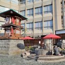 더케이제주 호텔(주) 이미지