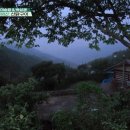 배틀민박 이미지