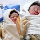 복동이 이미지