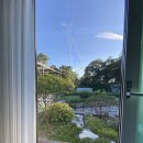 마레휴플러스 이미지