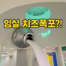 테마와 하루(지역축제 체험) | 전북 임실N치즈축제 테마파크 아이와 가볼만한곳 치즈폭포 역사문화관 체험후기