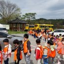 용인대챔피온태권도 이미지