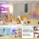 골든스웨터 캐터리 이미지