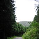 장성편백숲황토펜션 | 장성 축령산 - 대덕휴양관에서 편백숲길을 걷다.