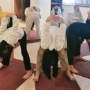 새싹 키즈요가 이미지