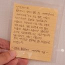 홍천 개아빠 이미지