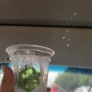 상학목장 이미지