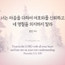 명철한 자는 지략을 얻을 것이라 이미지