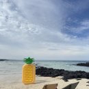 코난비치 이미지