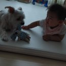 피오레 단양 이미지